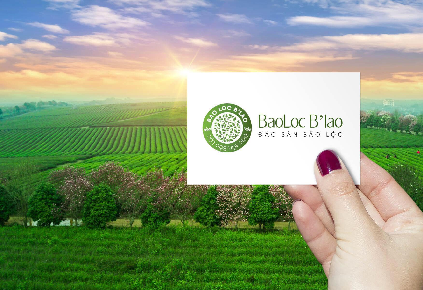 Logo trà Bảo Lộc BaoLoc B'lao